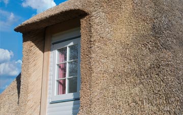 Hodson thatch roof disadvantages